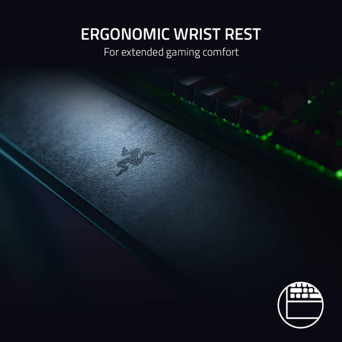 Razer BlackWidow V3 Mechanical Wired Gaming Keyboard (Green Switch) (8886419346593)6