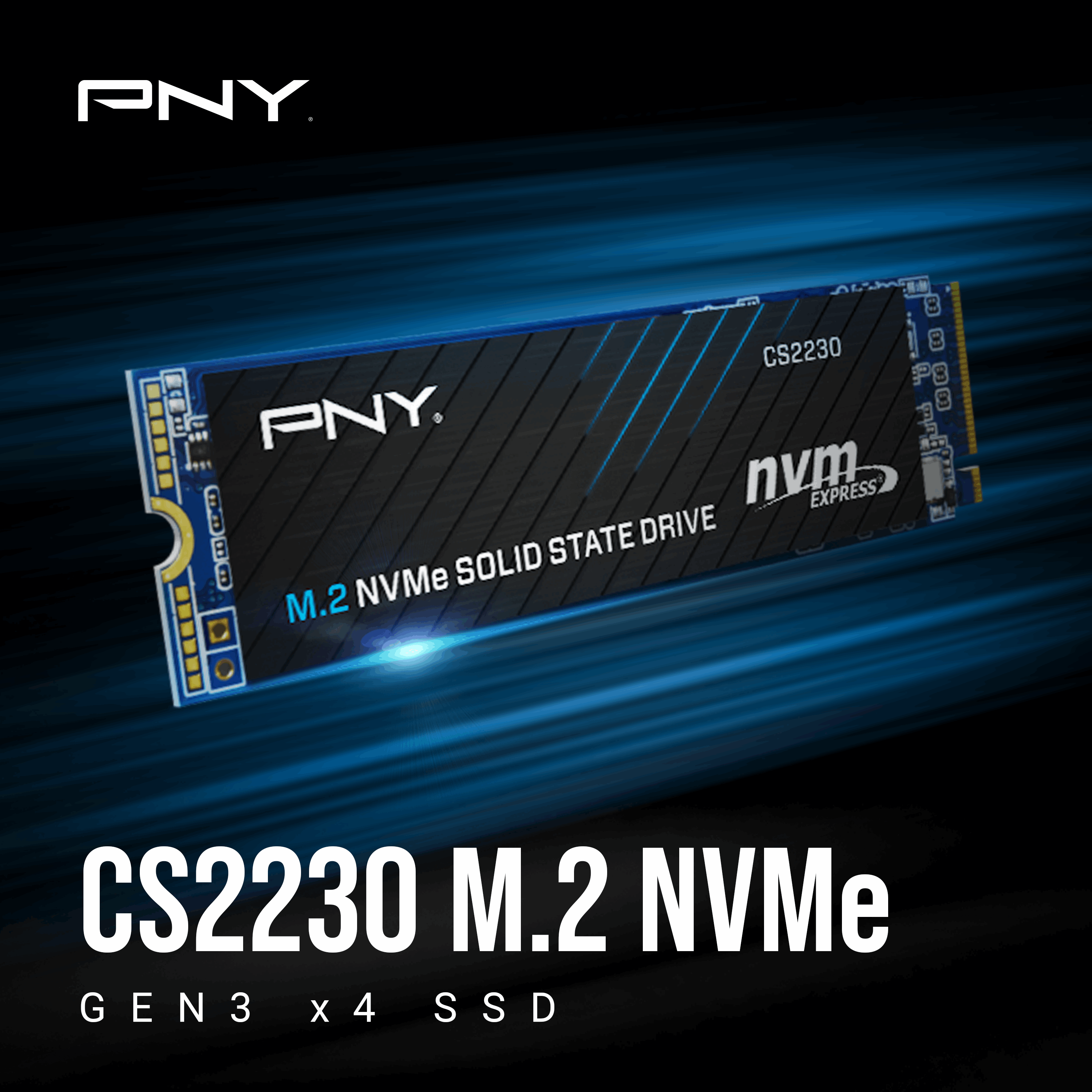 CS2230-Gallery-1